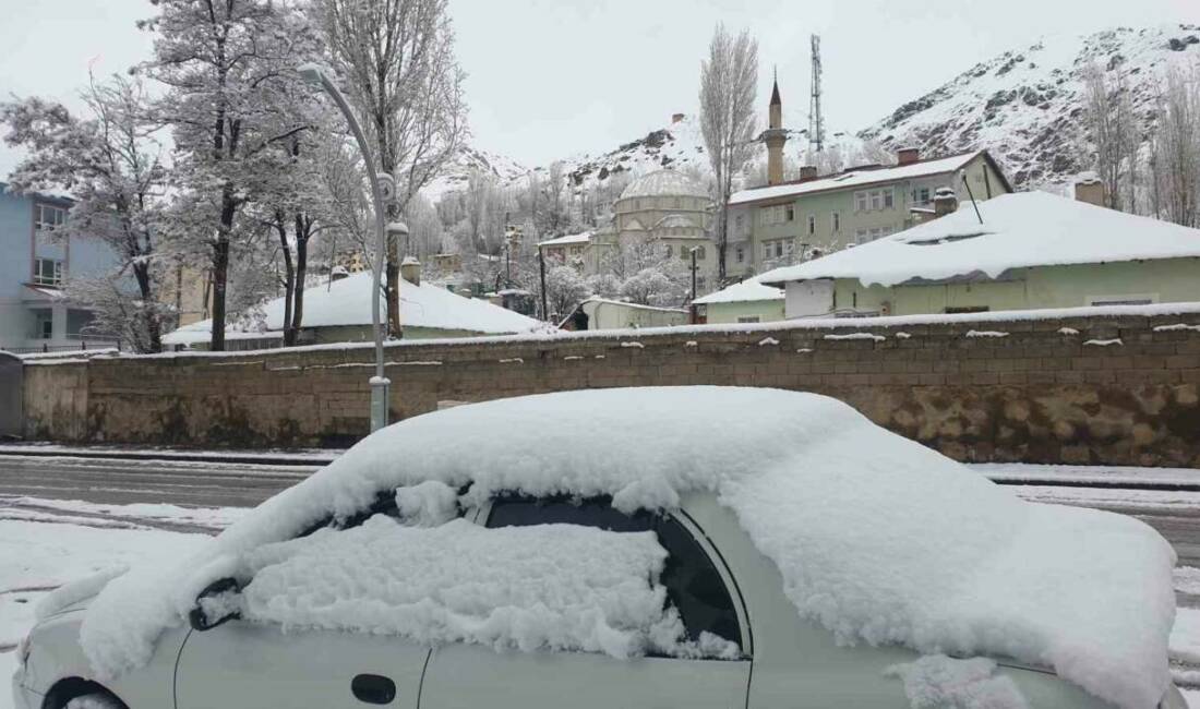 Van’ın Başkale ilçesinde nisan ayında etkili olan yoğun kar yağışı