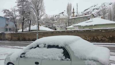 Van’ın Başkale ilçesinde nisan ayında etkili olan yoğun kar yağışı