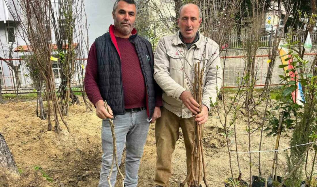 Baharın gelişiyle birlikte Buldan’da fidan dikim sezonu hareketlendi. Yıllardır ilçeye