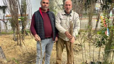 Baharın gelişiyle birlikte Buldan’da fidan dikim sezonu hareketlendi. Yıllardır ilçeye