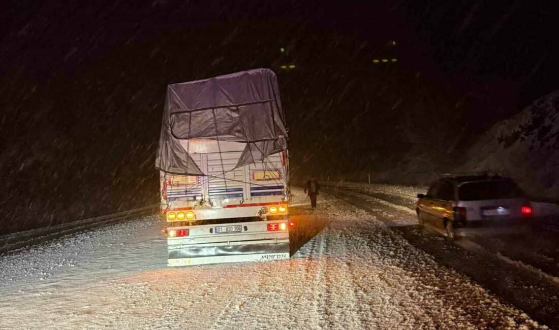 Çorum’un Alaca ilçesinde kar yağışı etkili oluyor. Kar sebebiyle bazı