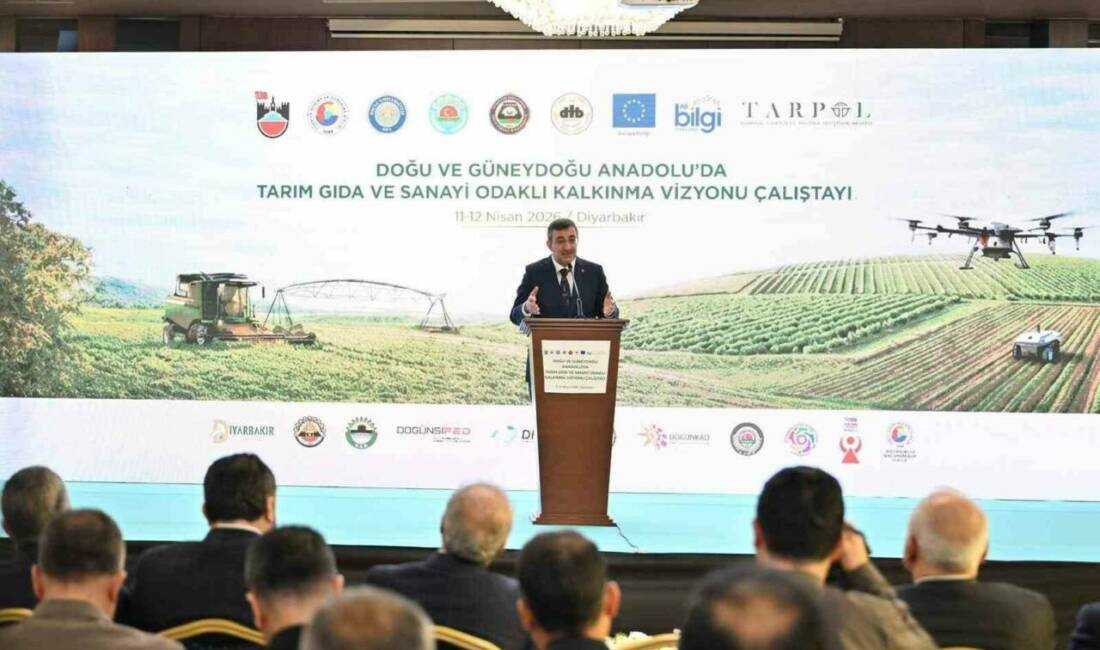 Cumhurbaşkanı Yardımcısı Cevdet Yılmaz, Doğu ve Güneydoğu Anadolu’da coğrafyanın da