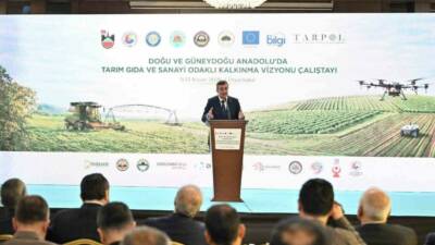 Cumhurbaşkanı Yardımcısı Cevdet Yılmaz, Doğu ve Güneydoğu Anadolu’da coğrafyanın da