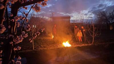 Erzincan’da hava sıcaklıklarının gece saatlerinde eksi derecelere kadar düşmesi, çiçeklenme