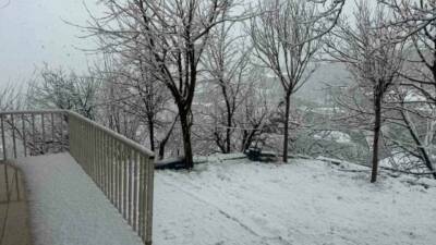 Hakkari’de etkili olan lapa lapa kar yağışı hayatı olumsuz etkiledi.