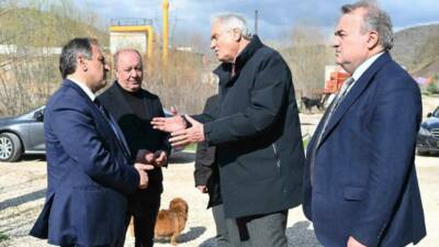 Bilecik’in Bozüyük ilçesindeki Doğal Yaşam Alanı’nda aç kalan köpeklerin birbirlerini