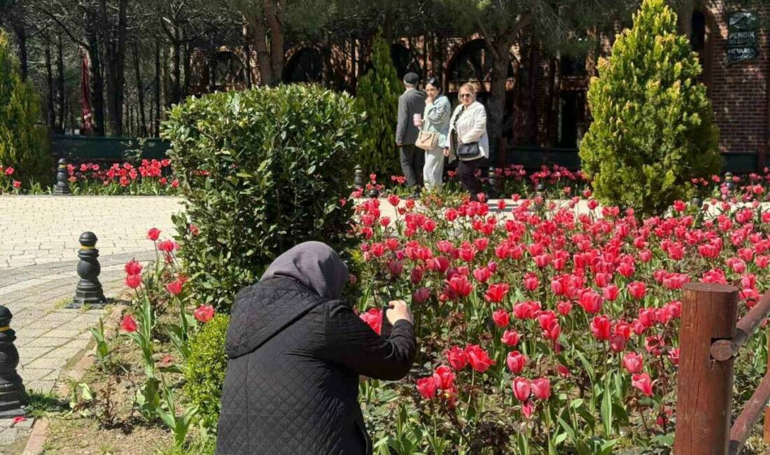 İstanbul’da lale mevsiminin başlamasıyla birlikte parklar ve korular renklenirken, Pendik