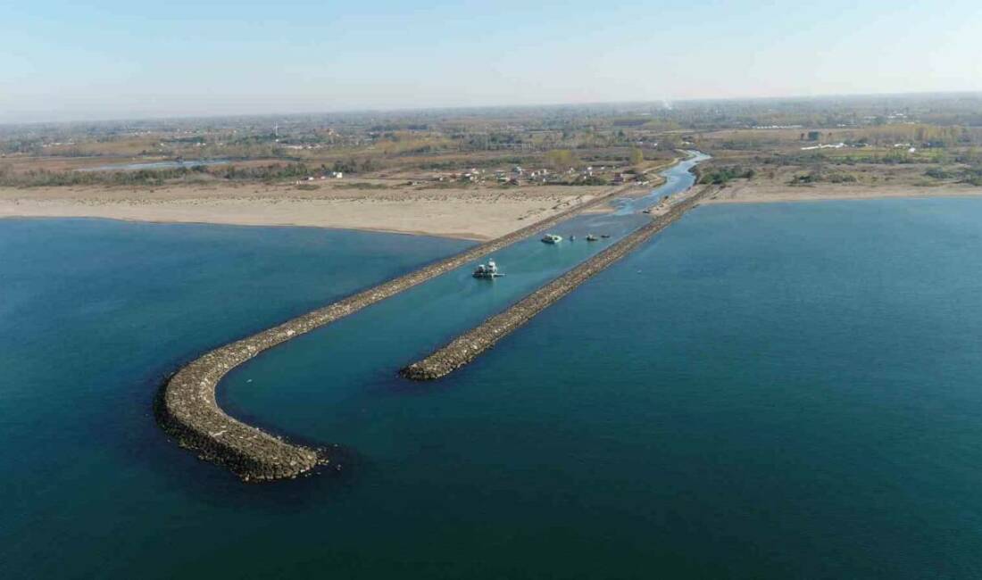 Tarım ve Orman Bakanlığı Devlet Su İşleri (DSİ) Genel Müdürlüğü