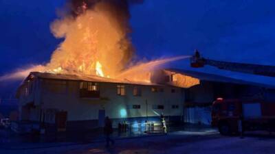 Kastamonu’nun Tosya ilçesinde bir fabrikada yangın çıktı. Ekipler fabrikayı saran