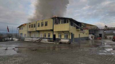 Kastamonu’nun Tosya ilçesinde çıkan fabrika yangını ekiplerin müdahalesiyle kontrol altına
