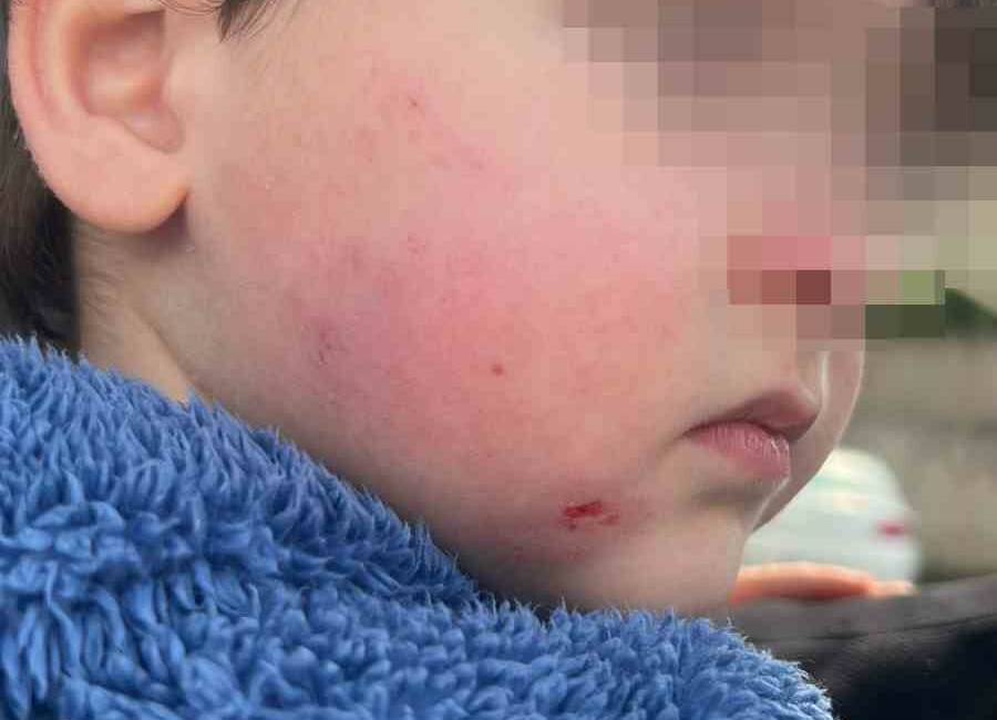 Bursa’nın Gemlik ilçesinde bir anne, sabah saatlerinde sağlıklı şekilde kreşe