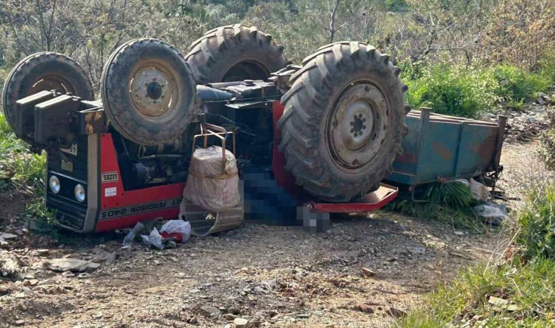 Manisa’nın Turgutlu ilçesinde eğimli arazide kontrolden çıkan traktörün devrilmesi sonucu