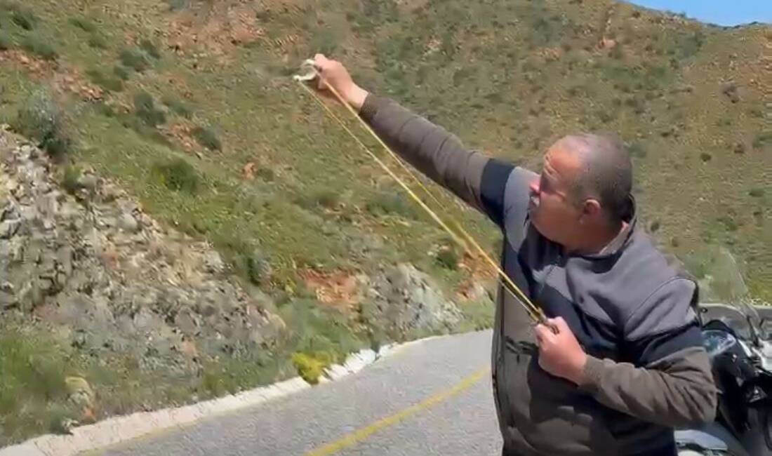 Muğla’nın Marmaris ilçesinde büyük orman yangınlarının ardından doğayı yeniden canlandırmak