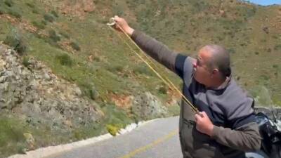 Muğla’nın Marmaris ilçesinde büyük orman yangınlarının ardından doğayı yeniden canlandırmak