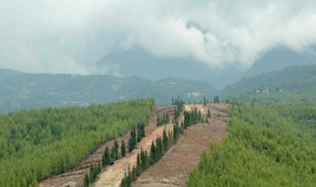 Orman yangınlarına karşı daha dirençli bir yapı oluşturmak amacıyla başlatılan