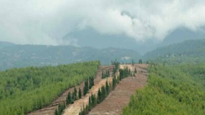 Orman yangınlarına karşı daha dirençli bir yapı oluşturmak amacıyla başlatılan