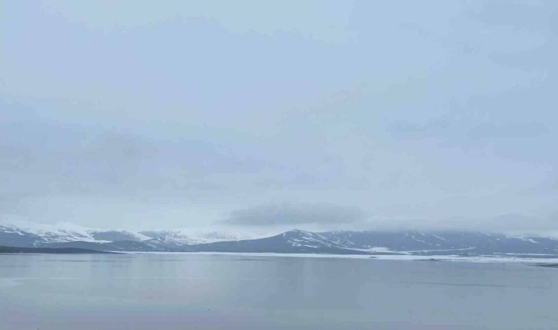 Ağrı’nın Patnos ilçesinde etkili olan yağışlar, barajın su seviyesini yüzde