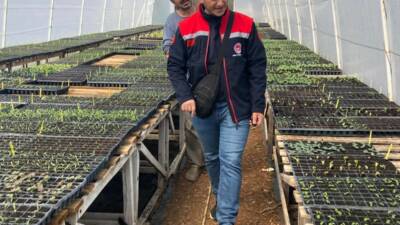 Kırklareli’nin Pınarhisar ilçesinde seralarda salatalık, domates, kıvırcık marul yetiştiren üreticiler