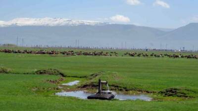 Vildan Sürbehan ve Nuray Demir tarafından “İklim değişikliği etkisi ile