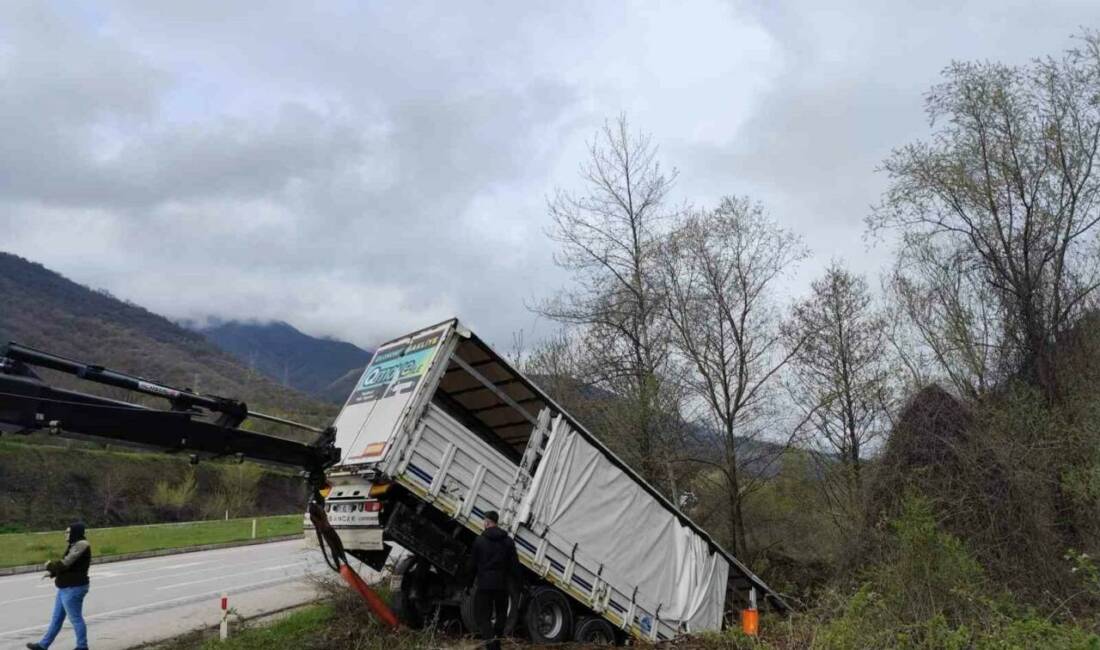 Tokat’ın Reşadiye ilçesinde meydana gelen trafik kazasında 3 kişi yaralandı,