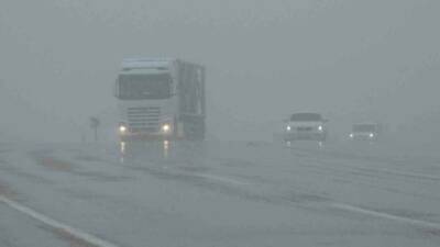 Van’da öğlen saatlerinde etkili olan kar yağışı ve sis 2