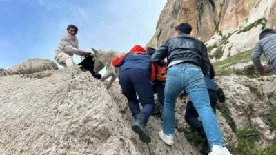 Van’ın Tuşba ilçesinde sarp kayalıklarda mahsur kalan bir eşek, AFAD